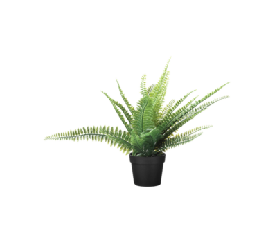 Schermafbeelding 2020-06-06 om 10.19.09.png